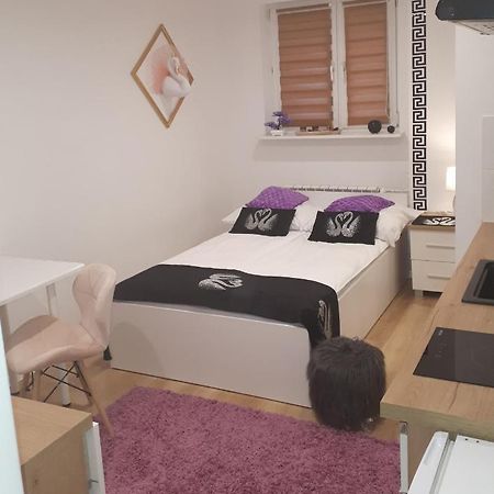 Apartamenty Centrum Panoramiczna Mala Dwojka Swan Labedz Promenada Klimatyzacja Lodowa キェルツェ エクステリア 写真
