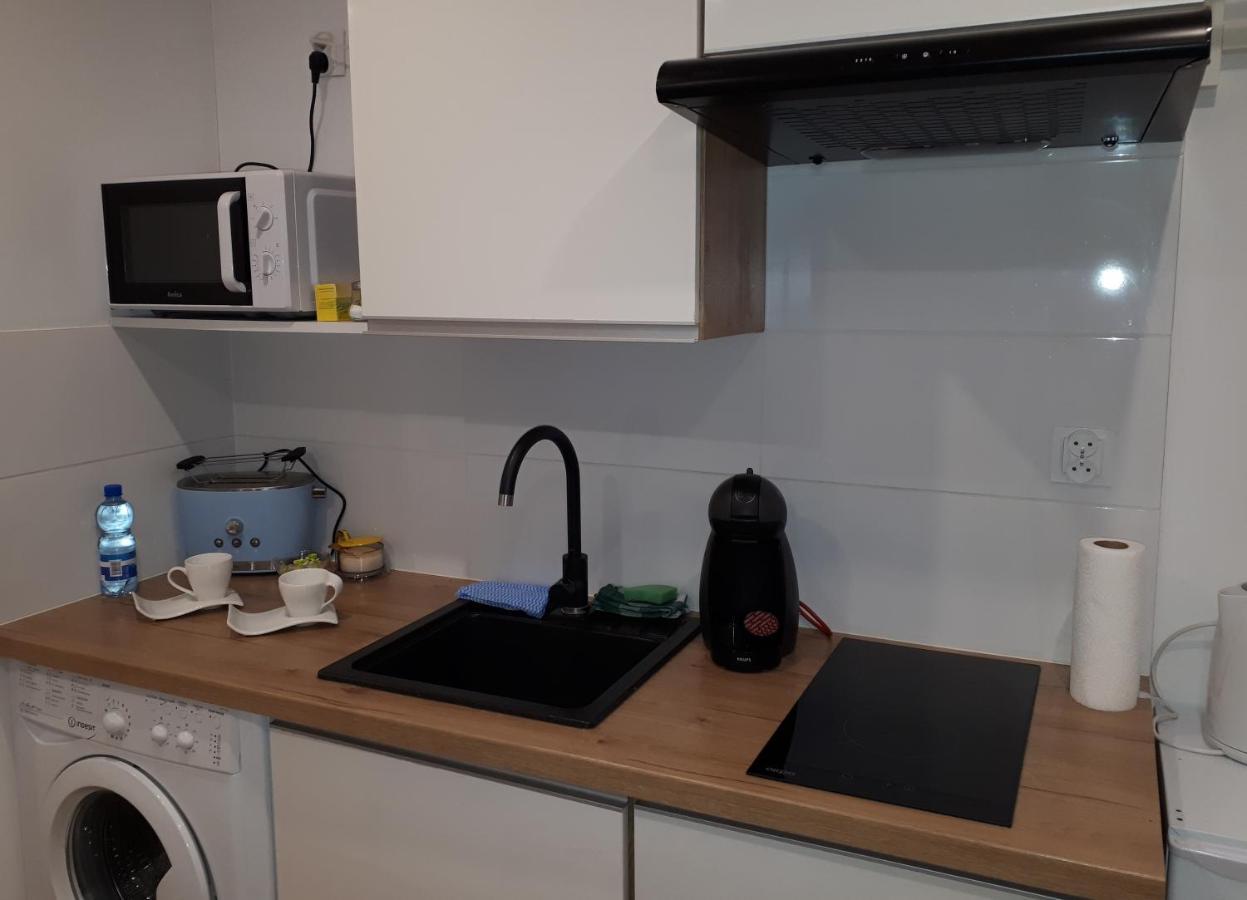 Apartamenty Centrum Panoramiczna Mala Dwojka Swan Labedz Promenada Klimatyzacja Lodowa キェルツェ エクステリア 写真