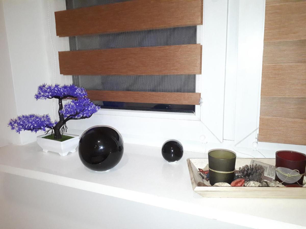 Apartamenty Centrum Panoramiczna Mala Dwojka Swan Labedz Promenada Klimatyzacja Lodowa キェルツェ エクステリア 写真