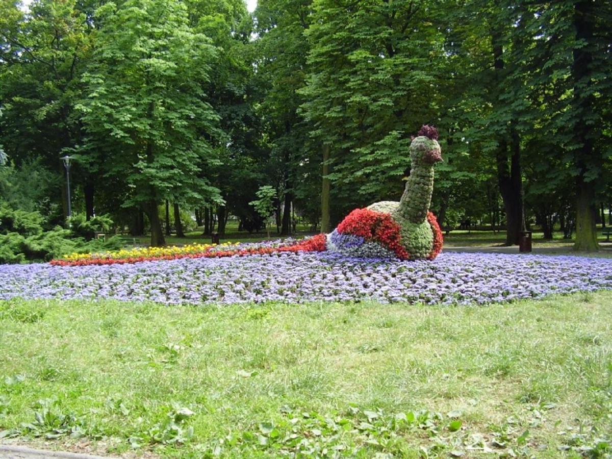 Apartamenty Centrum Panoramiczna Mala Dwojka Swan Labedz Promenada Klimatyzacja Lodowa キェルツェ エクステリア 写真