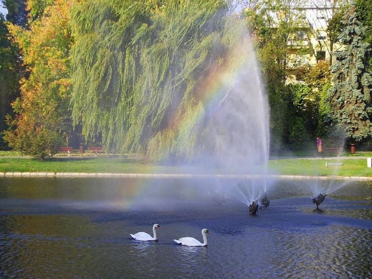 Apartamenty Centrum Panoramiczna Mala Dwojka Swan Labedz Promenada Klimatyzacja Lodowa キェルツェ エクステリア 写真