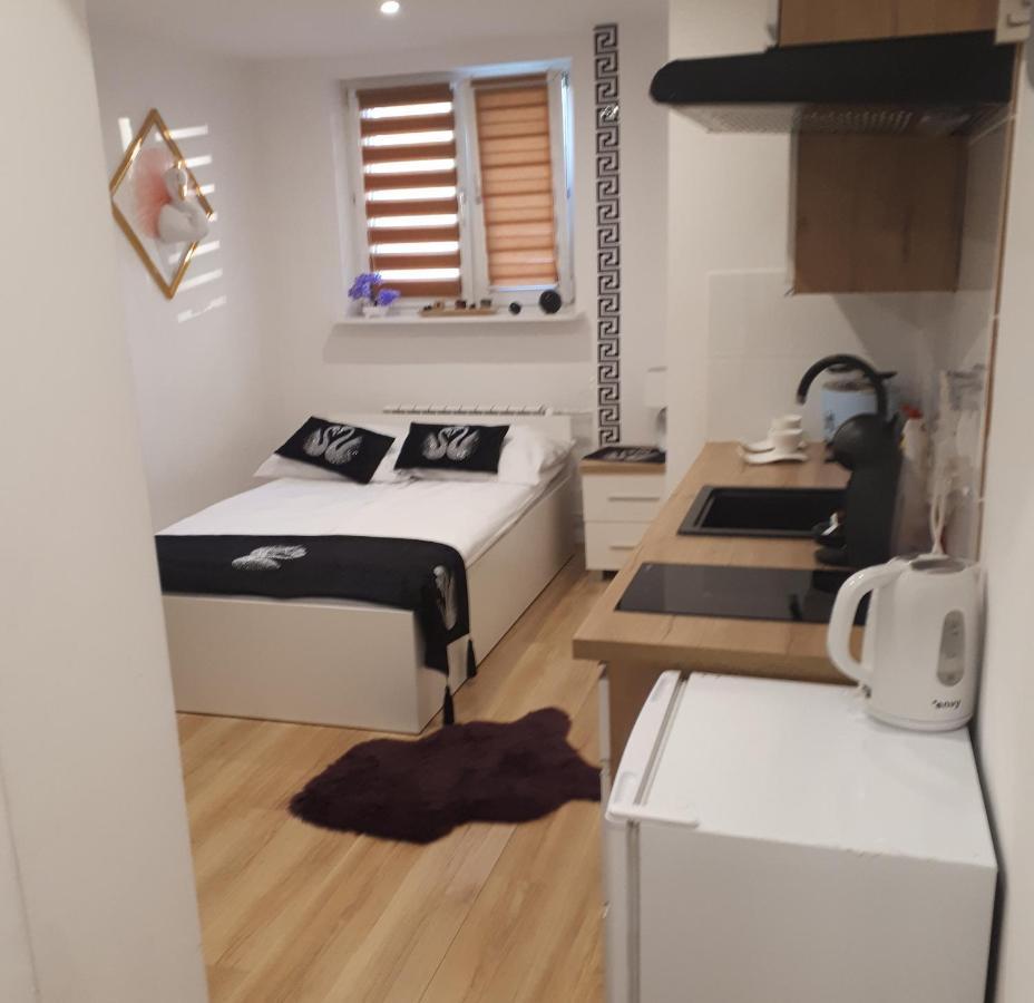 Apartamenty Centrum Panoramiczna Mala Dwojka Swan Labedz Promenada Klimatyzacja Lodowa キェルツェ エクステリア 写真