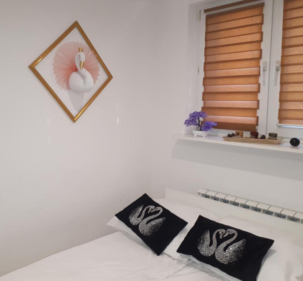 Apartamenty Centrum Panoramiczna Mala Dwojka Swan Labedz Promenada Klimatyzacja Lodowa キェルツェ エクステリア 写真
