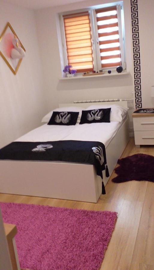 Apartamenty Centrum Panoramiczna Mala Dwojka Swan Labedz Promenada Klimatyzacja Lodowa キェルツェ エクステリア 写真