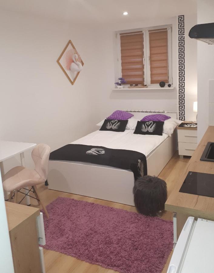 Apartamenty Centrum Panoramiczna Mala Dwojka Swan Labedz Promenada Klimatyzacja Lodowa キェルツェ エクステリア 写真
