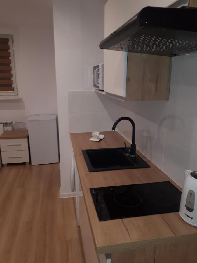 Apartamenty Centrum Panoramiczna Mala Dwojka Swan Labedz Promenada Klimatyzacja Lodowa キェルツェ エクステリア 写真